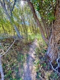 NHN River Rd W, Plains, MT 59859