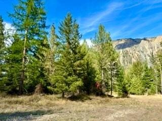 NHN River Rd W, Plains, MT 59859