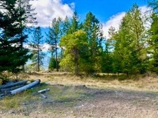 NHN River Rd W, Plains, MT 59859