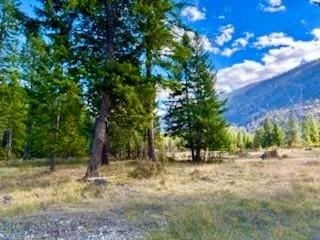 NHN River Rd W, Plains, MT 59859