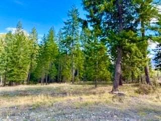 NHN River Rd W, Plains, MT 59859