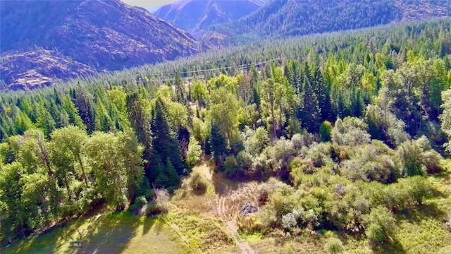 NHN River Rd W, Plains, MT 59859