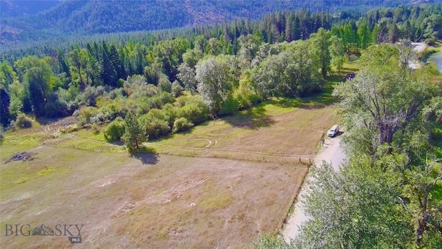 NHN River Rd W, Plains, MT 59859