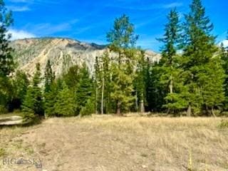 NHN River Rd W, Plains, MT 59859
