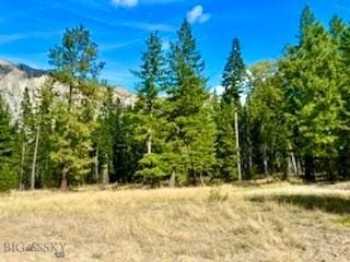 NHN River Rd W, Plains, MT 59859
