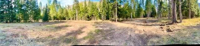 NHN River Rd W, Plains, MT 59859