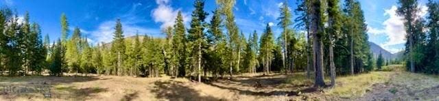NHN River Rd W, Plains, MT 59859