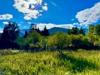 NHN River Rd W, Plains, MT 59859