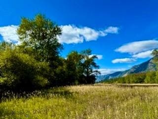 NHN River Rd W, Plains, MT 59859
