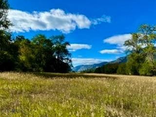 NHN River Rd W, Plains, MT 59859