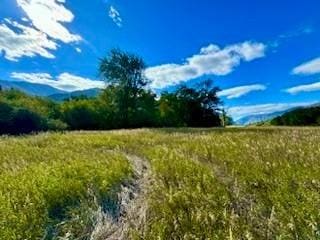 NHN River Rd W, Plains, MT 59859