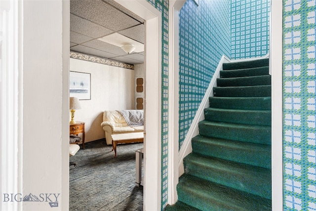 stairway with a paneled ceiling and carpet flooring