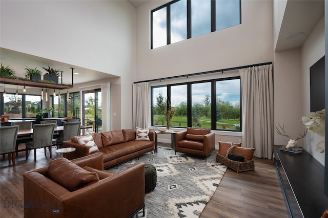 living room featuring a towering ceiling, hardwood / wood-style floors, and a healthy amount of sunlight