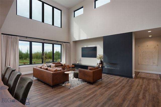 living room featuring hardwood / wood-style flooring and a high ceiling