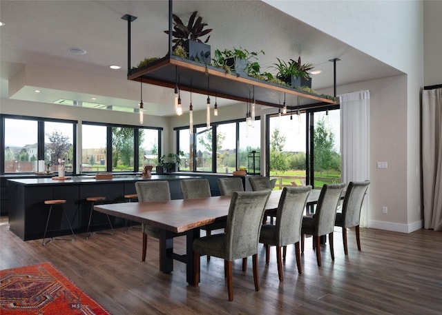 dining room with hardwood / wood-style floors and a wealth of natural light