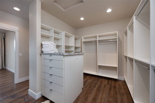 walk in closet featuring dark hardwood / wood-style floors