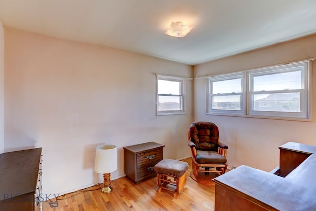 home office featuring light wood-type flooring