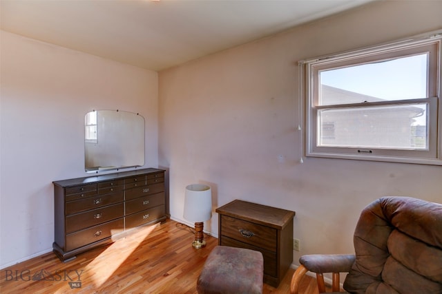 sitting room featuring light hardwood / wood-style flooring and plenty of natural light