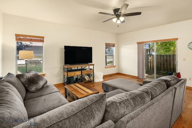 living room with wood-type flooring and ceiling fan