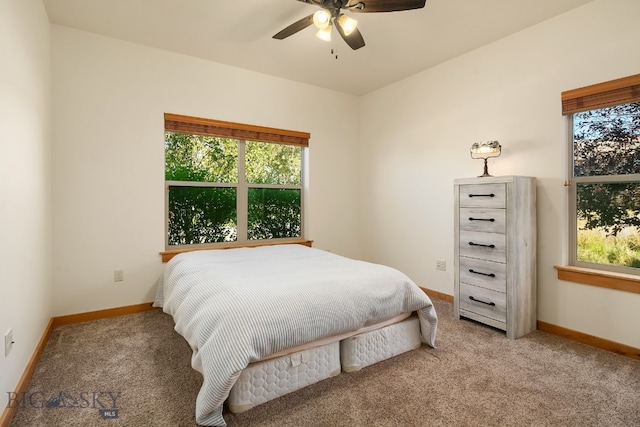 carpeted bedroom with ceiling fan and multiple windows