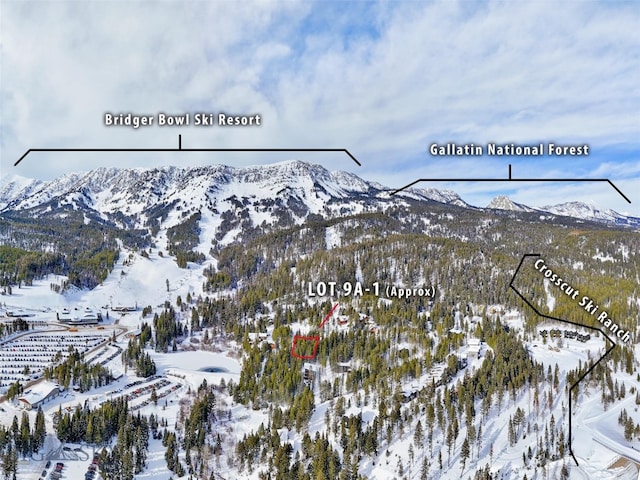 LOT9A-1 Wedeln Dr, Bozeman MT, 59715 land for sale