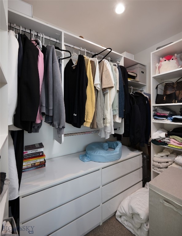 spacious closet with carpet floors