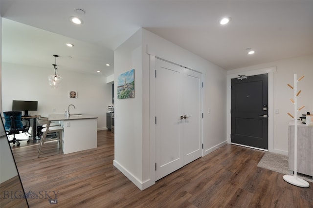 foyer entrance featuring dark hardwood / wood-style flooring and sink