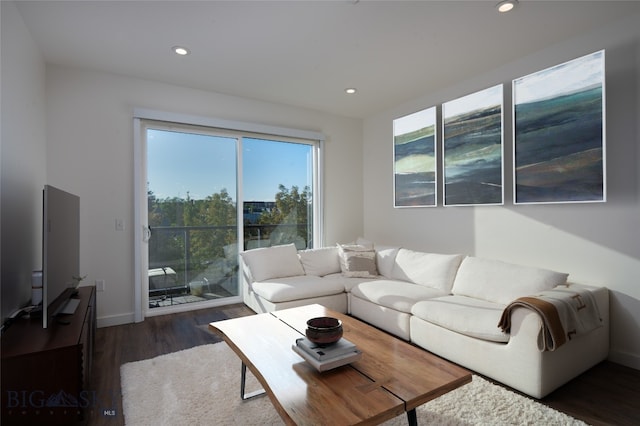 living room with dark hardwood / wood-style floors