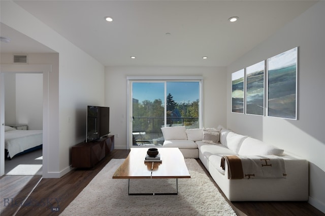 living room featuring dark wood-type flooring