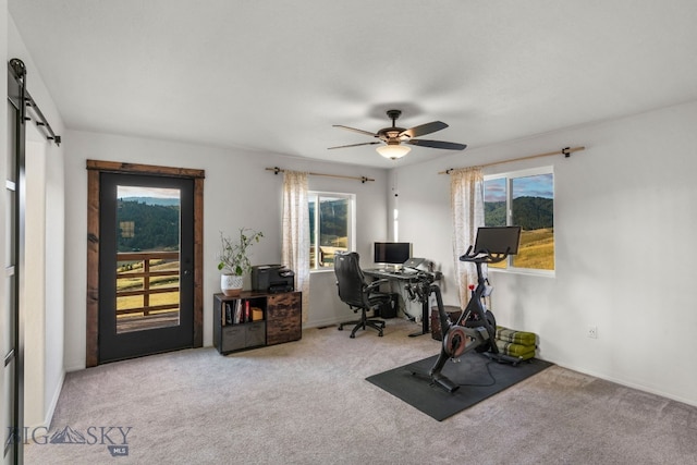 exercise area with a barn door, ceiling fan, and light carpet