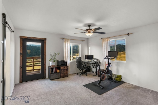 31 Bull Run Rd, Livingston, MT 59047 - workout room with a barn door, carpet floors, a wealth of natural light, and ceiling fan