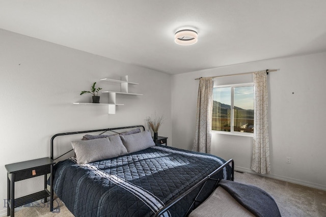 bedroom with carpet floors