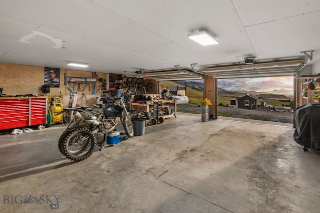 garage with a garage door opener and a workshop area