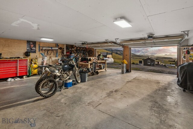 31 Bull Run Rd, Livingston, MT 59047 - garage featuring a workshop area and a garage door opener