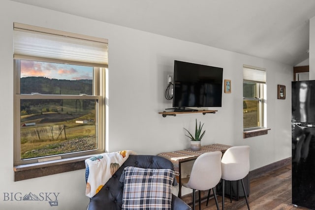 dining room featuring vaulted ceiling, dark hardwood / wood-style flooring, and a wealth of natural light