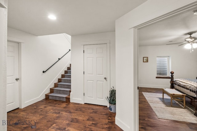 interior space featuring ceiling fan and dark wood-type flooring