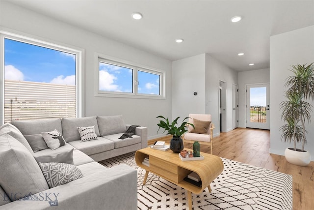 living room featuring light hardwood / wood-style flooring