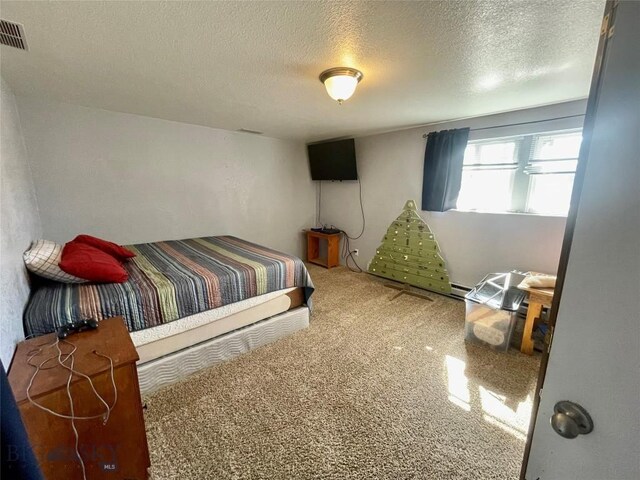1115 E Center St, Dillon, MT 59725 - bedroom featuring a textured ceiling, carpet, and a baseboard radiator