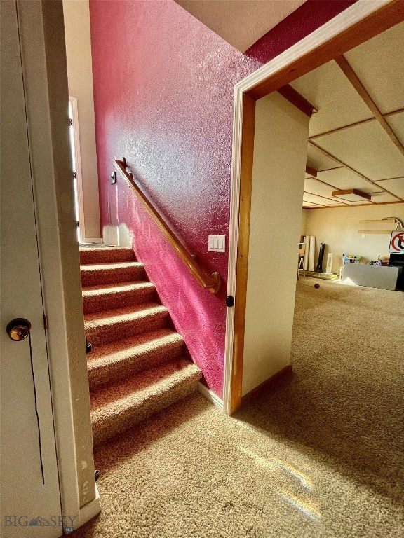 stairway with carpet floors