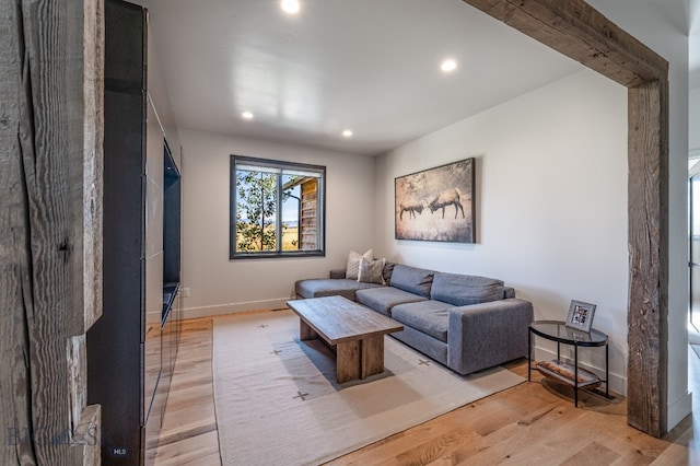 living room featuring light hardwood / wood-style flooring