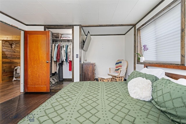 bedroom featuring a spacious closet, a closet, and dark wood-type flooring