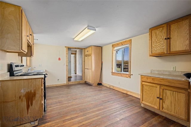 kitchen featuring electric stove, baseboards, light countertops, and dark wood-type flooring