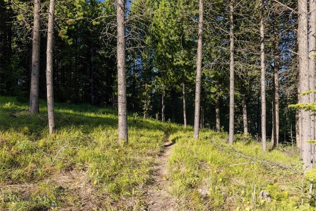 LOT22 Upper Highland Dr, Big Sky, MT 59716 - photo 15