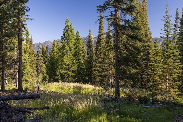 LOT22 Upper Highland Dr, Big Sky, MT 59716 - photo 16