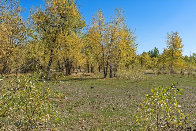 Listing photo 3 for TBD Elk Lane, Bozeman MT 59718