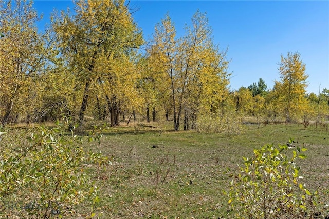 TBD Elk Lane, Bozeman, MT 59718