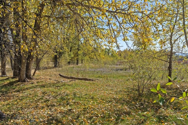 TBD Elk Lane, Bozeman, MT 59718