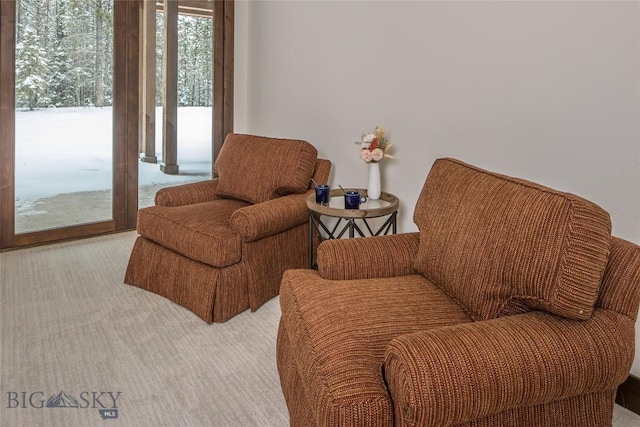 2250 Outlook Trl, Big Sky, MT 59716 - living area with carpet