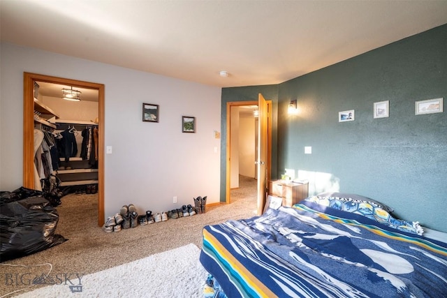 bedroom featuring a walk in closet, a closet, and carpet