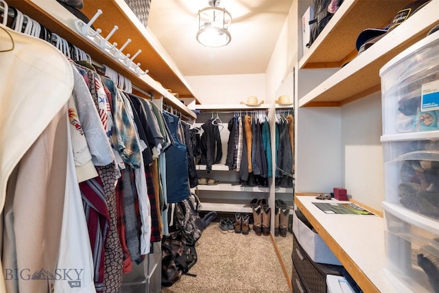 walk in closet with carpet flooring